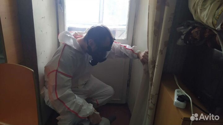 Уничтожение тараканов клопов блох Дезинфекция