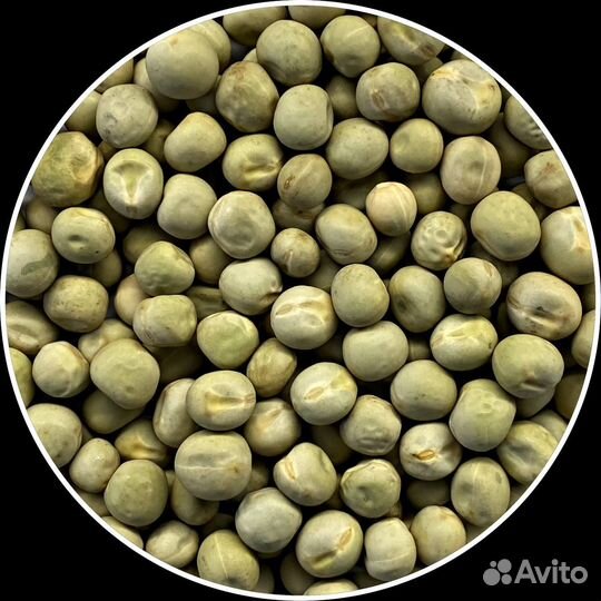 Семена для микрозелени, горох,пшеница, лук, рукола