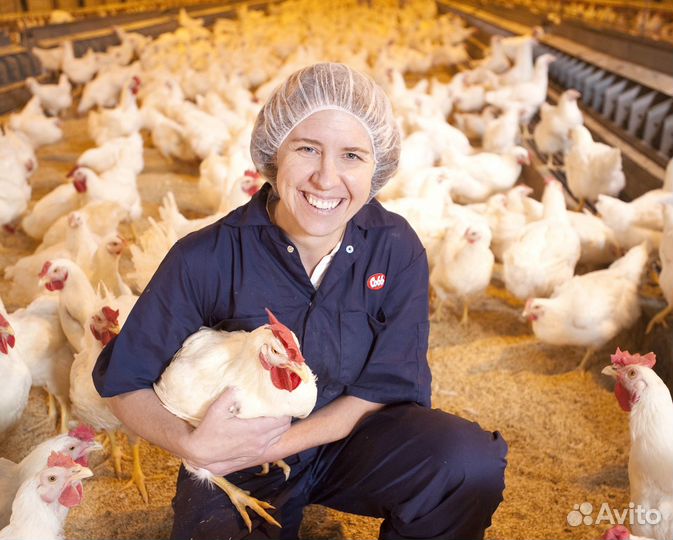 В кфх требуются разнорабочие