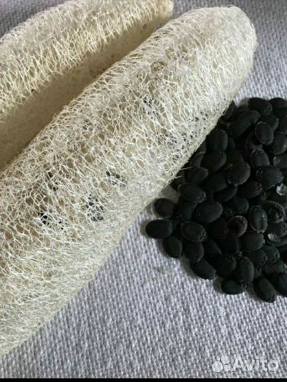 Семена мочалки Люффа