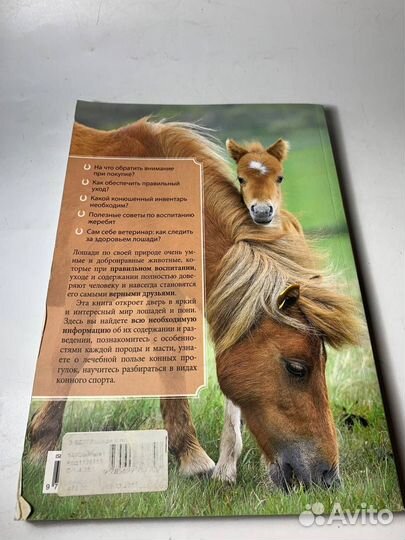 Книги лошади и пони справочник для любителей