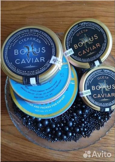Малосол черная икра