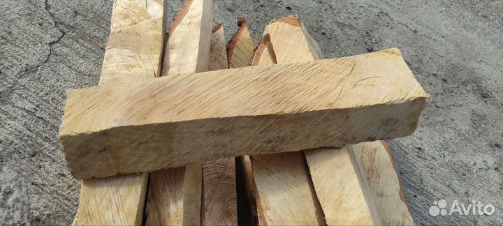 Сувель березовый