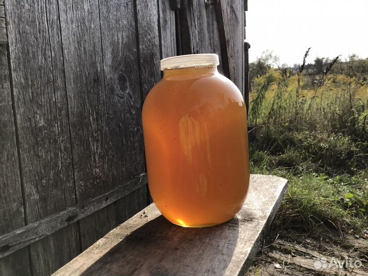 Мёд из д. Бежин луг