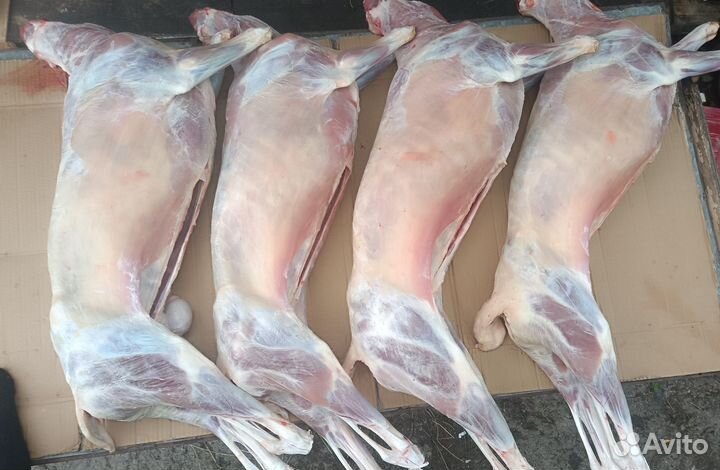 Молодняк баранина