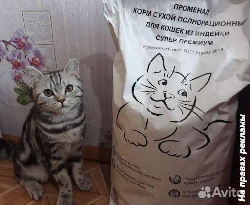 Корм для кошек из индейки 10 кг супер-премиум