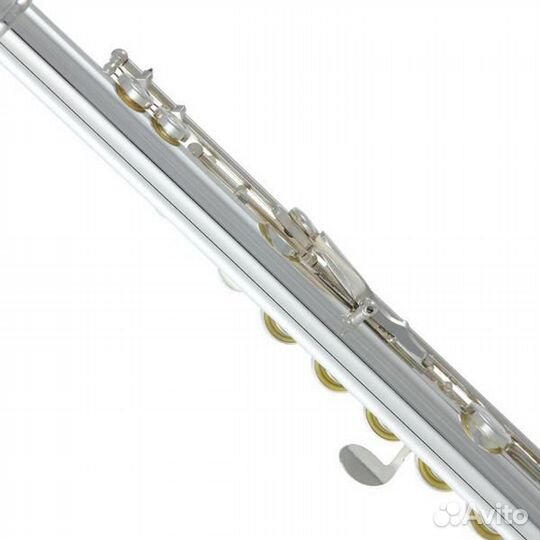 Флейта Roy Benson FL-402R2