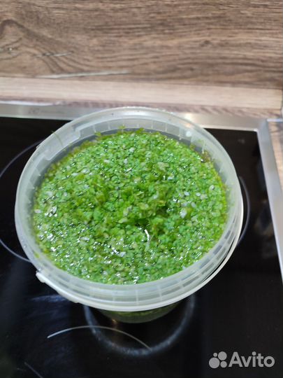 Ряска, роголистник