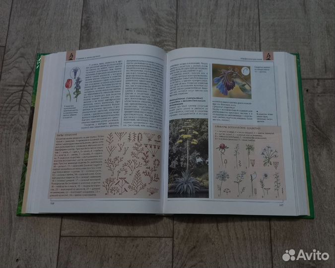 Книга для Ксении