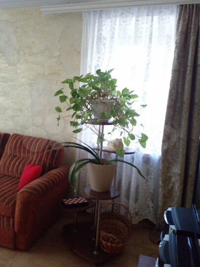 2-к. квартира, 49,5 м², 1/3 эт.