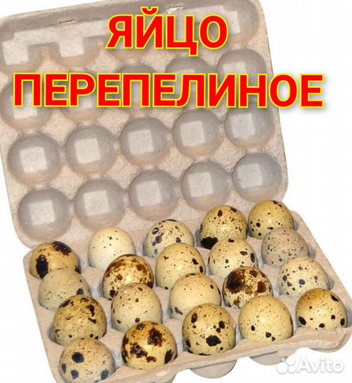 Яйцо перепелинное