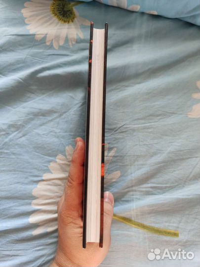 Александр Полярный. Мятная сказка