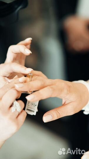 Видеограф фотограф