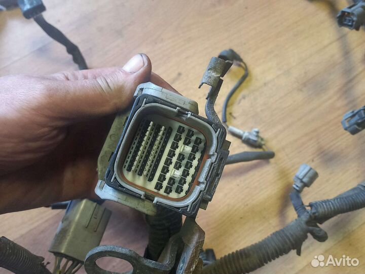 Коса проводки двигателя subaru tribeca 3.6