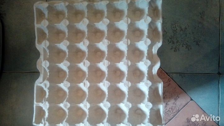 Ячейки для яиц картонные