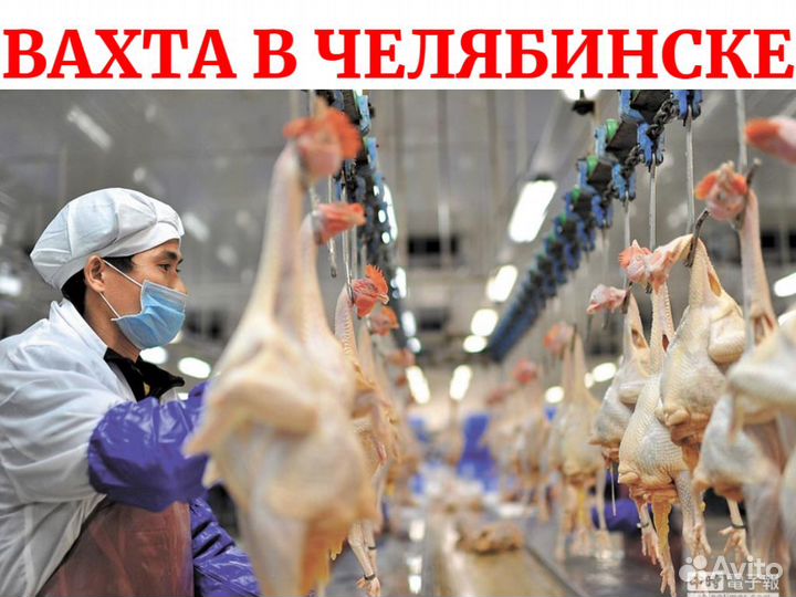 Разнорабочие с проживанием в Челябинске