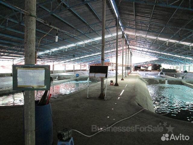 Продам долю в бизнесе