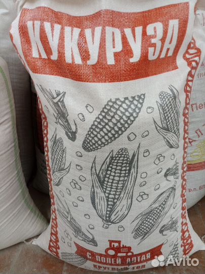 Кукуруза зерно