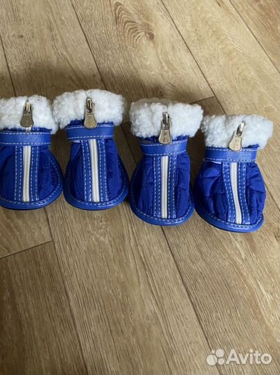Ботинки для маленьких собак
