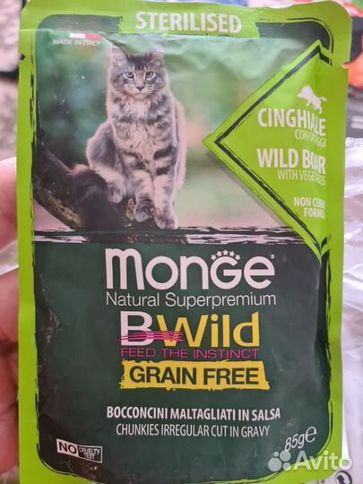 Влажный корм для кошек monge build