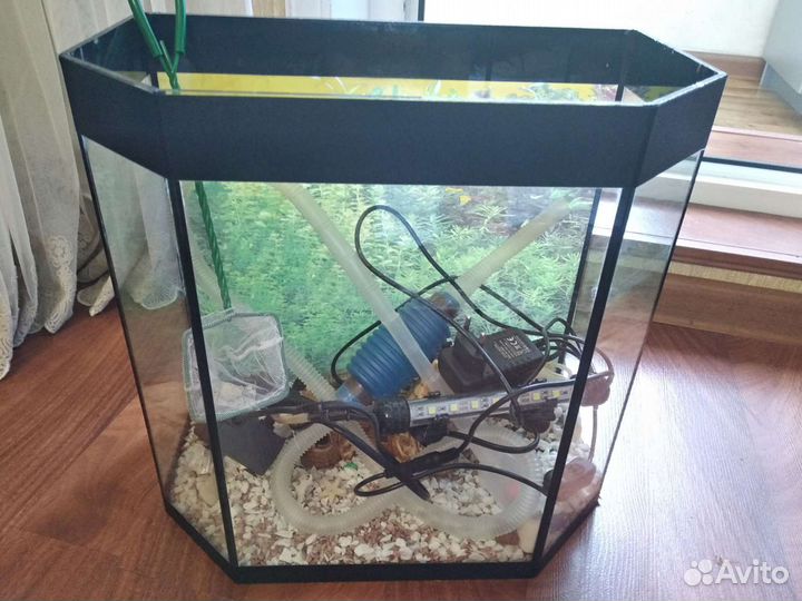 Аквариум со всеми принадлежностями