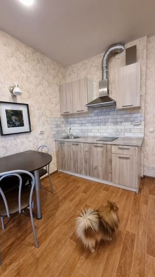 Квартира-студия, 26,6 м², 3/24 эт.