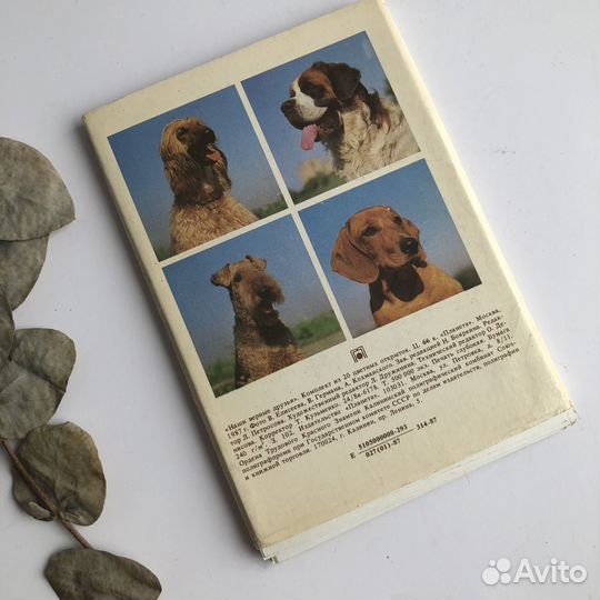 Набор 20 Открыток Наши Верные Друзья Собаки СССР