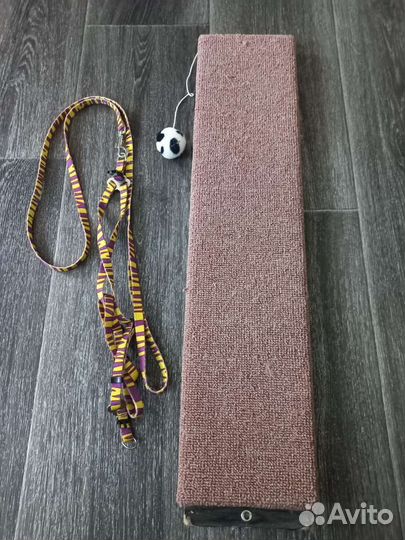 Когтеточка и шлейка поводок