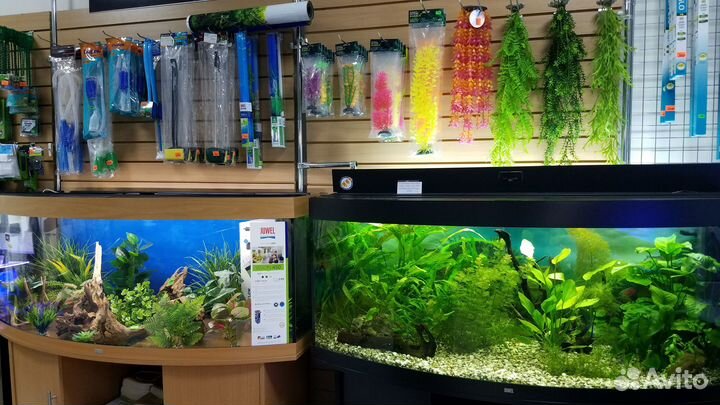 Всё для аквариума