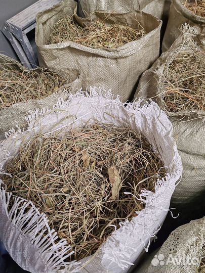 Сено для грызунов