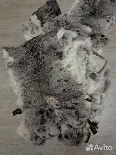 Шкурки кролика