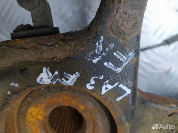 Кулак поворотный (Цапфа ) Ступица в сборе