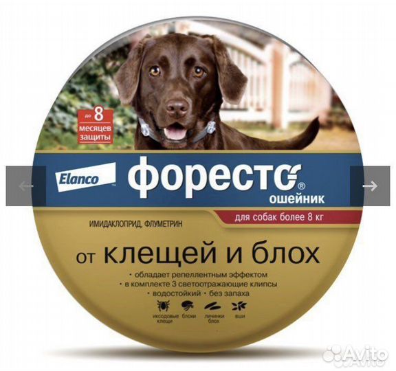 Ошейник fores