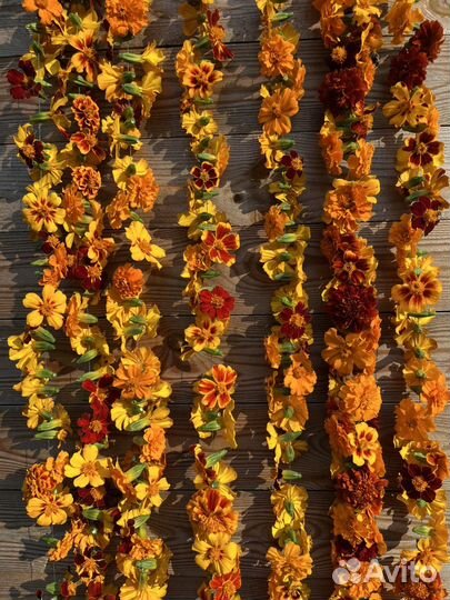 Бархатцы сушеные цветы