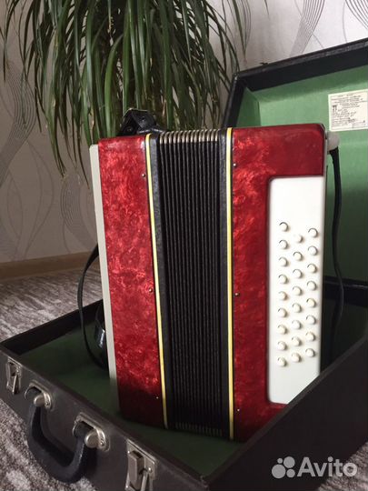 Гармонь Нарач-2