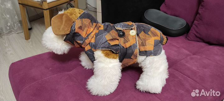 Жилетка для мелких пород собак