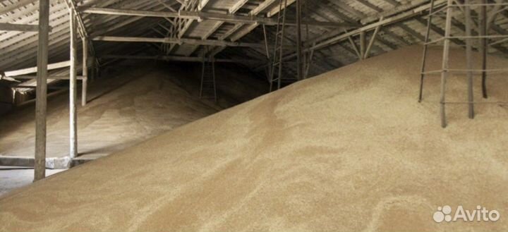 Мастер погрузки