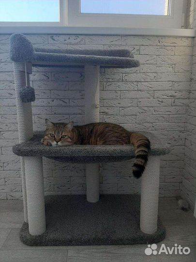 Когтеточка с гамаком и лежанкой