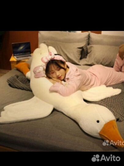 Гусь обнимусь