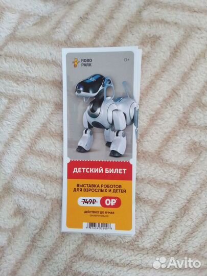 Детский билет на выставку роботов