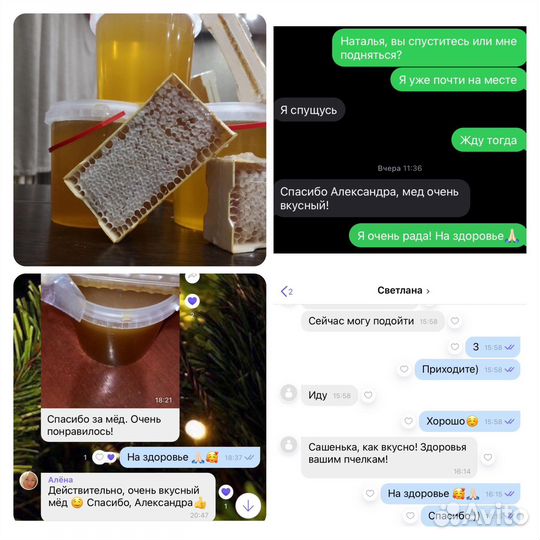 Мёд домашний донник и цветочный, перга