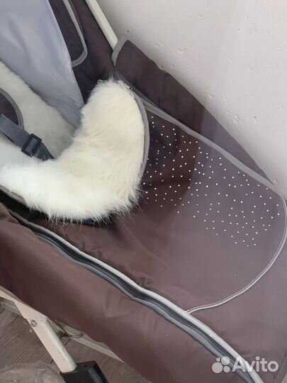 Детские санки коляска