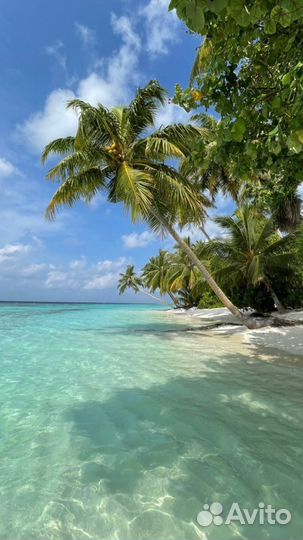 Бюджетные Мальдивы из Москвы