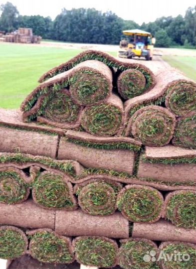 Рулонный газон