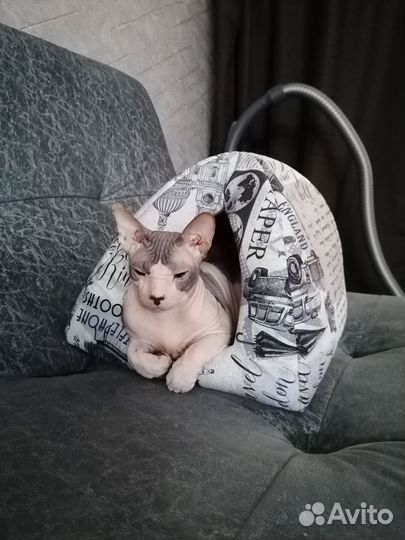 Донской сфинкс вязка