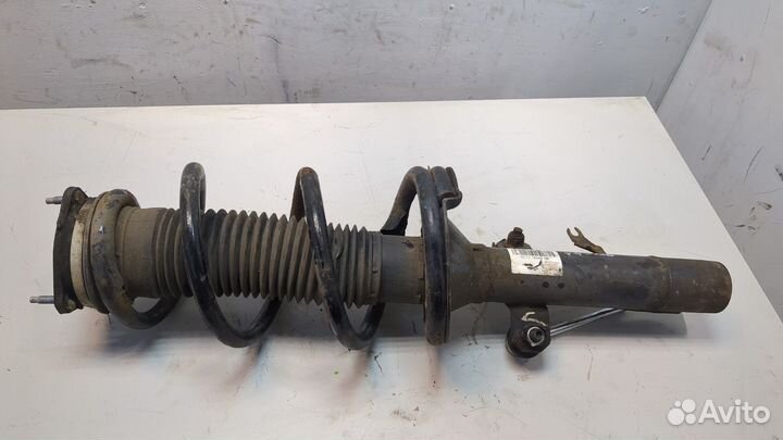 Амортизатор подвески Ford Transit, 2008