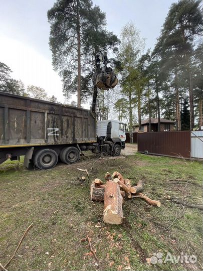 Расчитска участков,удаление спил деревьев