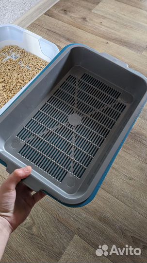 Лоток для котят