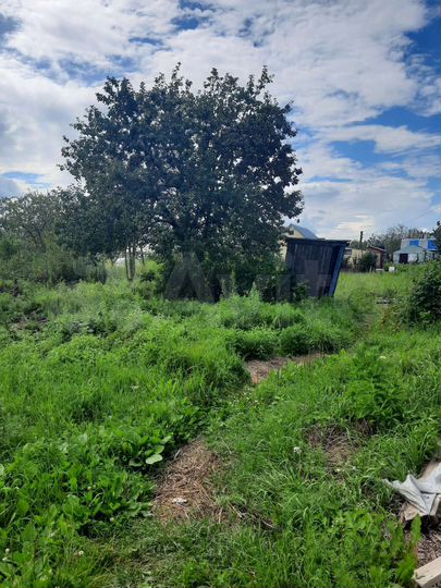 Дача 50 м² на участке 4,4 сот.