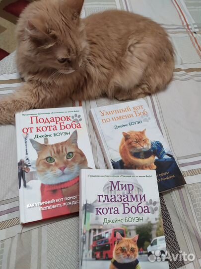 Д. Боуэн. Книги про кота Боба
